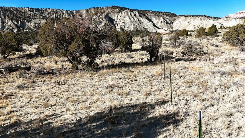 DJI_20241219101652_0053_D