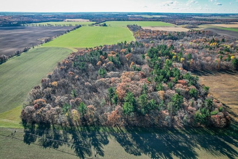 Portage 150.81 JMJK Prop-39