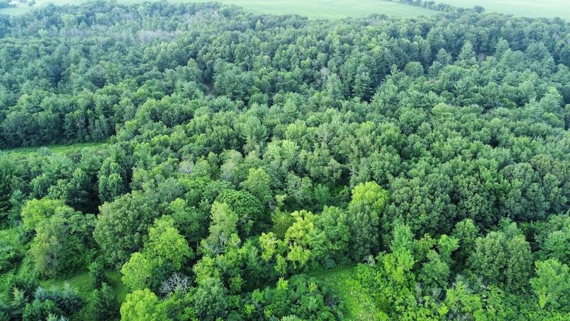 dji_fly_20240715_181852_676_1721085541614_photo_optimized