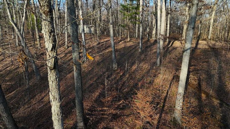 DJI_20251209153306_0702_D