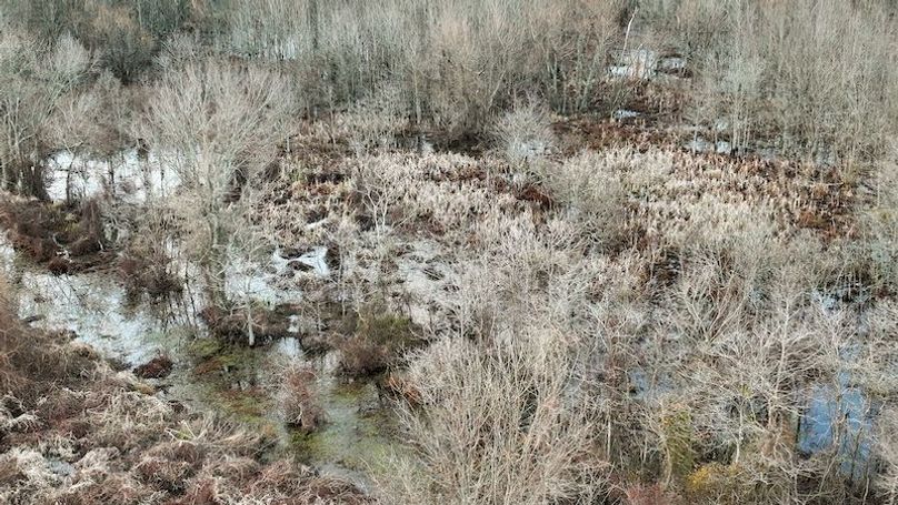 Monroe 80 Driver Dixon (Final Frontier) -11