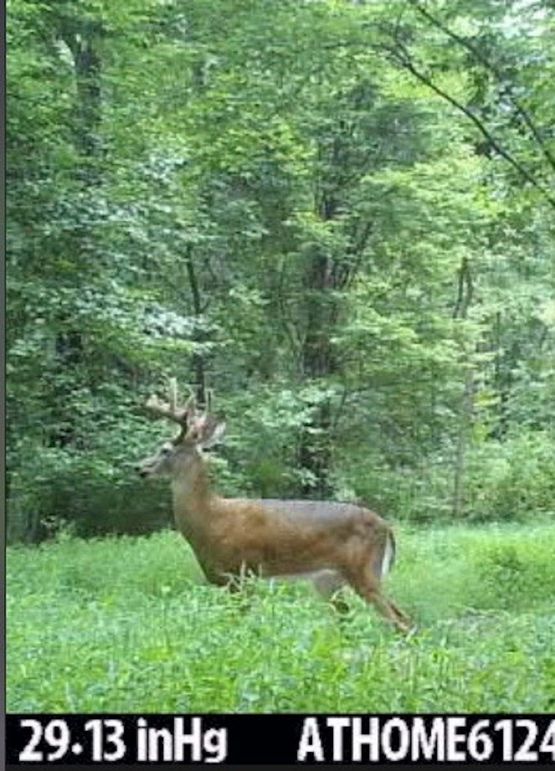 Image 3-4-26 at 10.54 AM