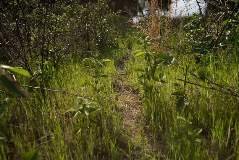 PAGE CO IA 130+_-_27