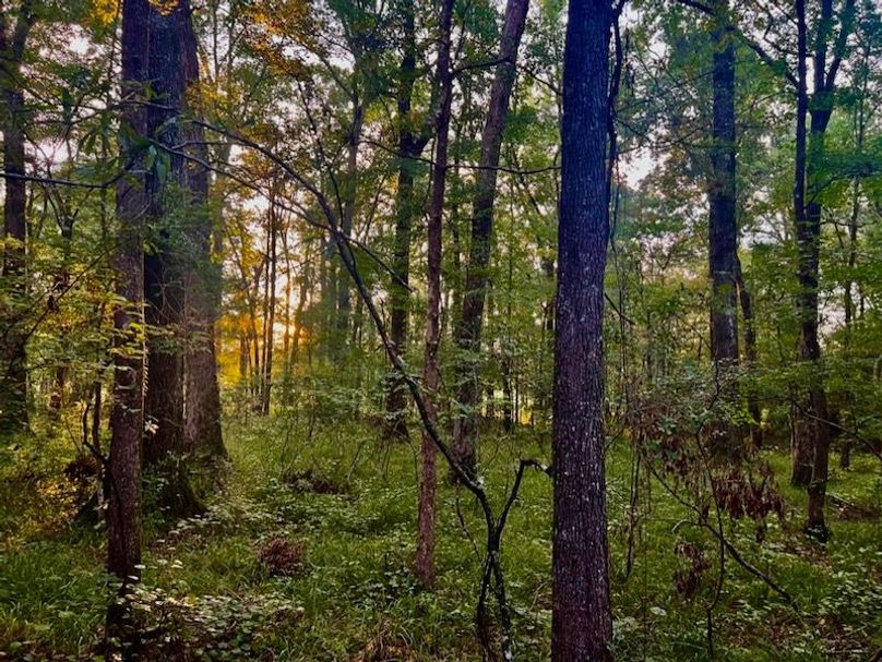 E9BF9E3E-A448-4A07-99C2-809E1AB69B61_1_105_c