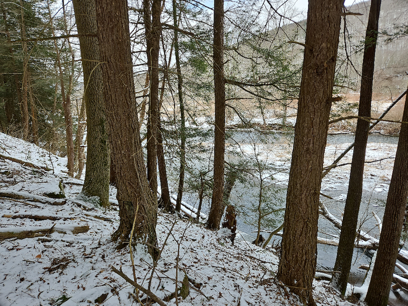 photo_72131423-aad8-4cb4-9325-e18ae467a66e