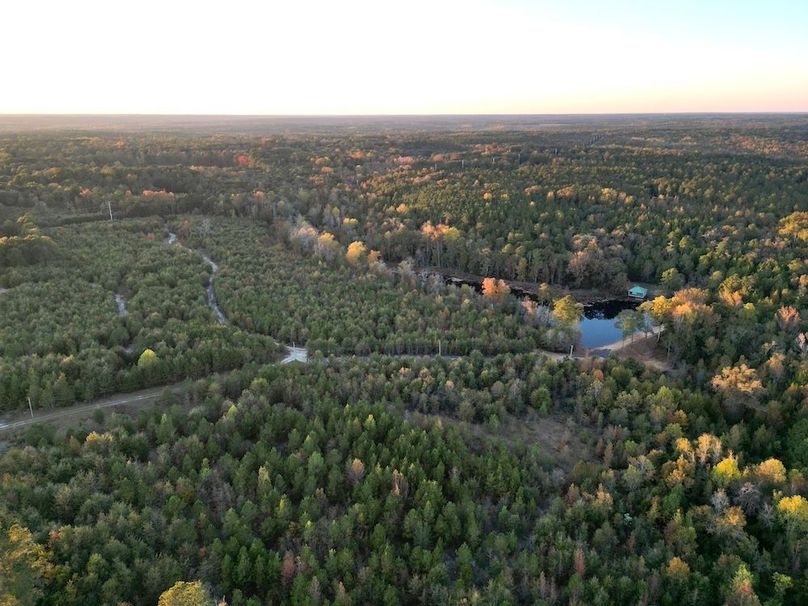 dji_fly_20251103_173342_406_1762260574784_photo