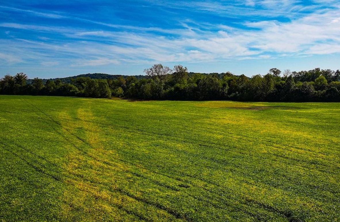 Copy of dji_fly_20251001_111002_0547_1759332192339_photo