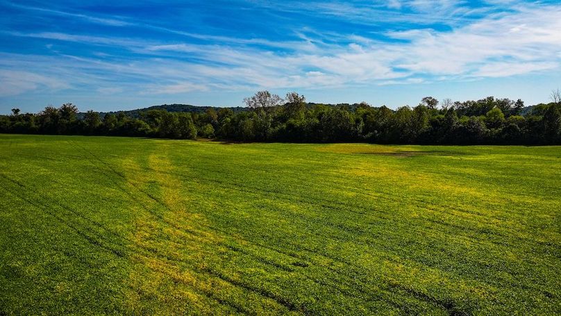 Copy of dji_fly_20251001_111002_0547_1759332192339_photo