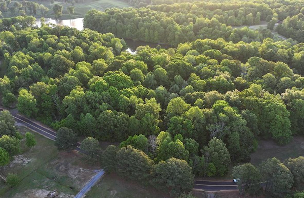 Desoto 8.3 Clement (Final Frontier) -3