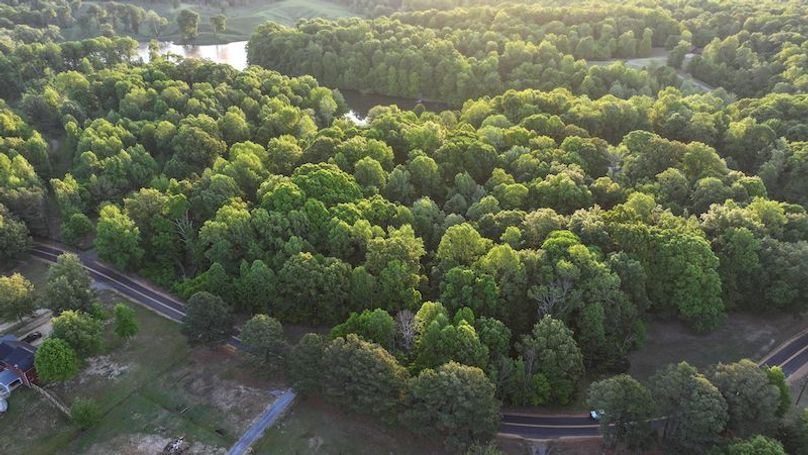 Desoto 8.3 Clement (Final Frontier) -3