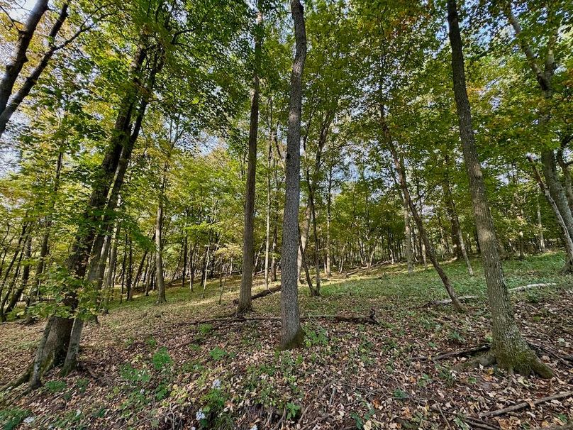 Richland 199Ground - 52