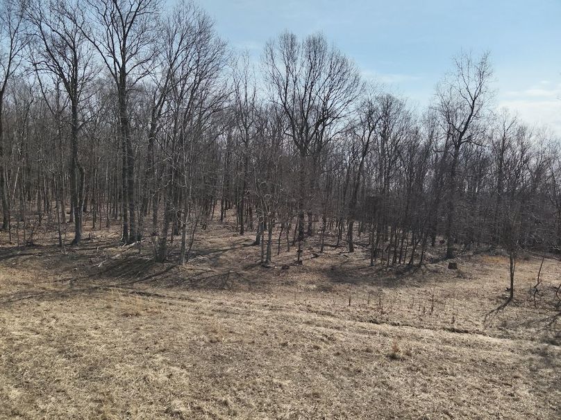 DJI_20250304115445_0031_V