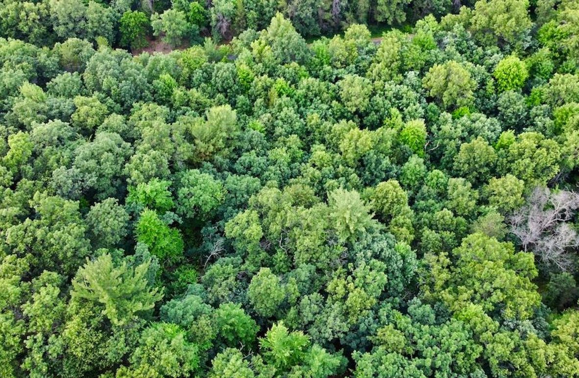 dji_fly_20250624_200422_916_1750813558127_photo_optimized