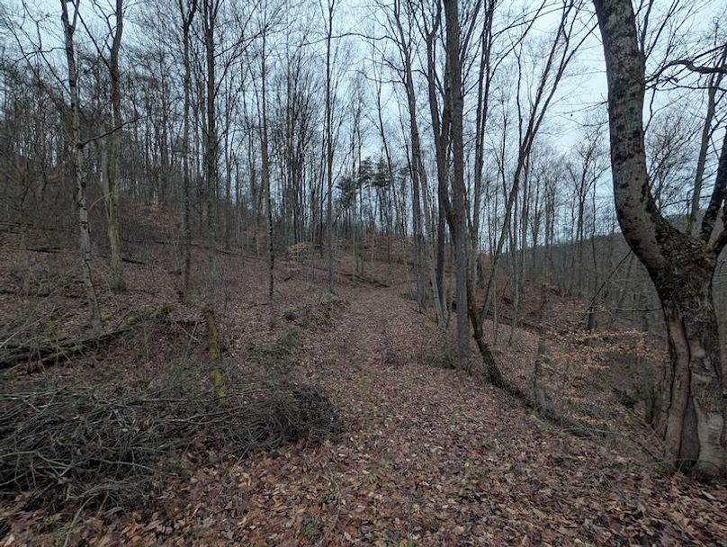 PXL_20260107_220029010