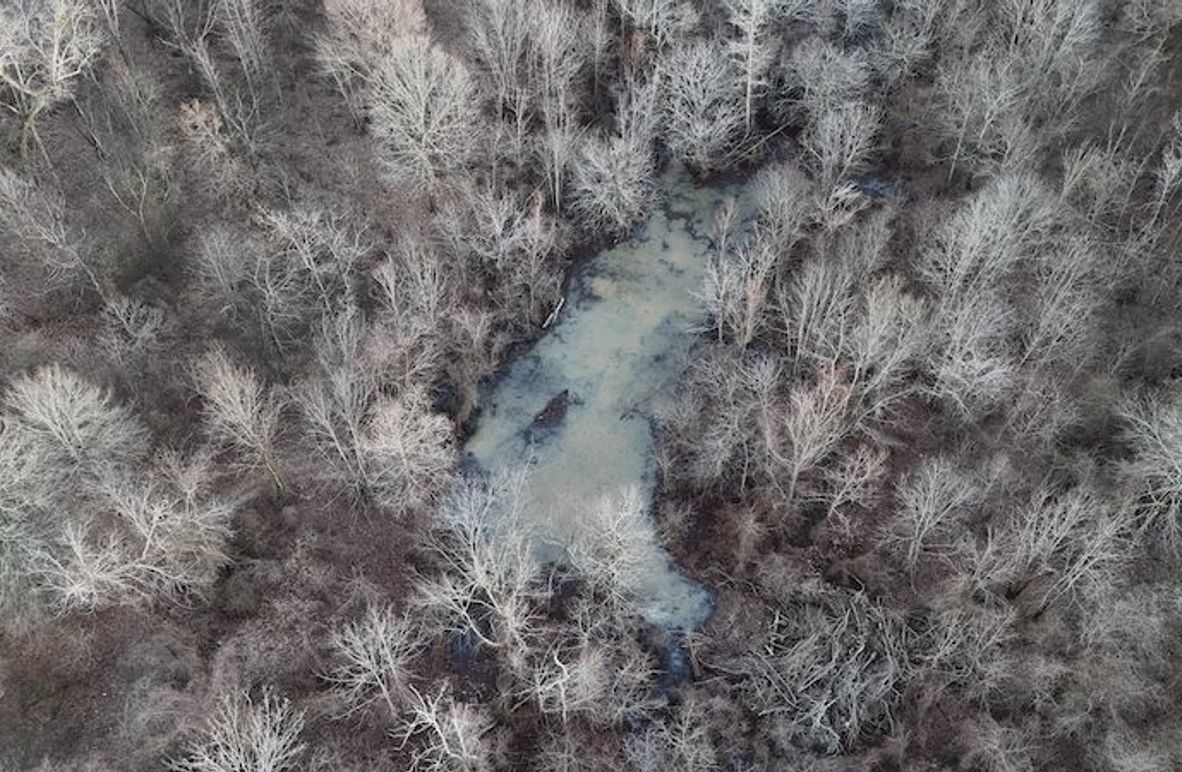 311 new20260217_0455