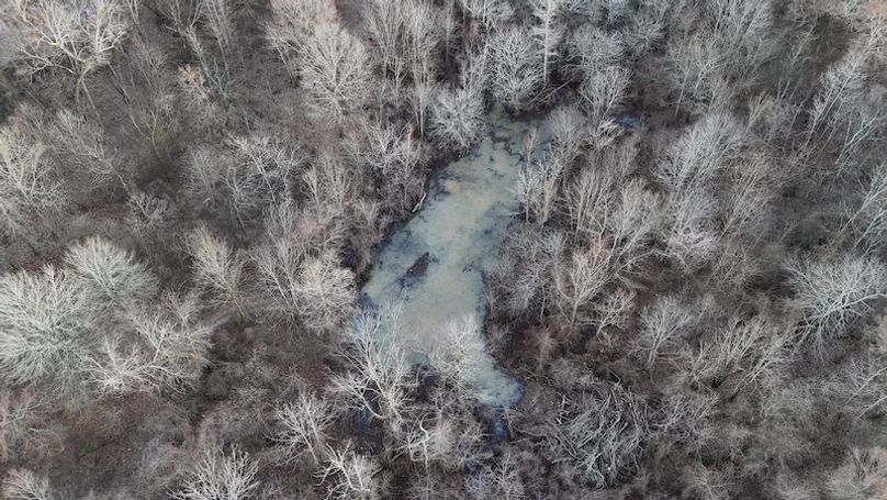 311 new20260217_0455