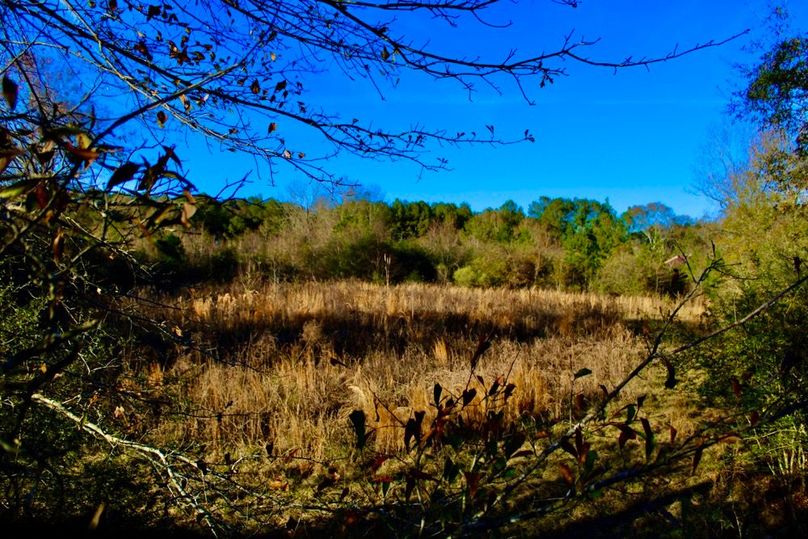 868B8C43-4CD9-41F5-8C5B-1A5386DD738B_1_201_a-2