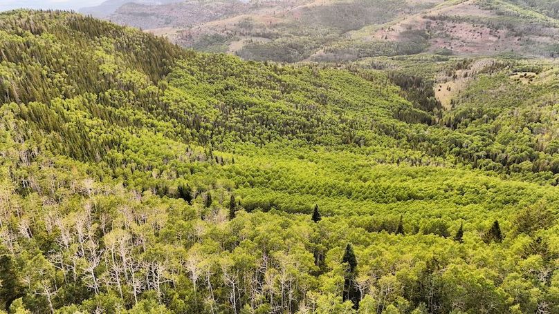 DJI_20250726191146_0313_D