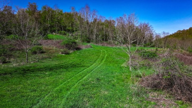 DJI_20250425040808_0442_D