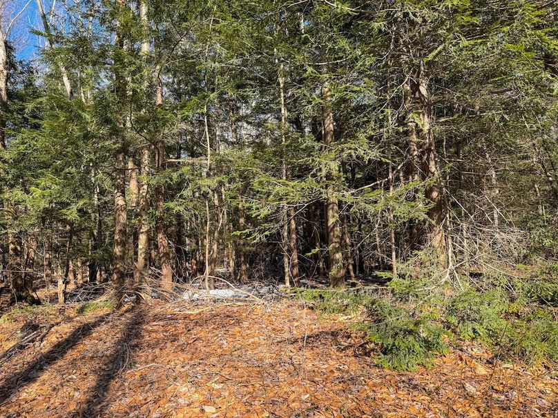 Oswego_16.32_Phillips Photo 15