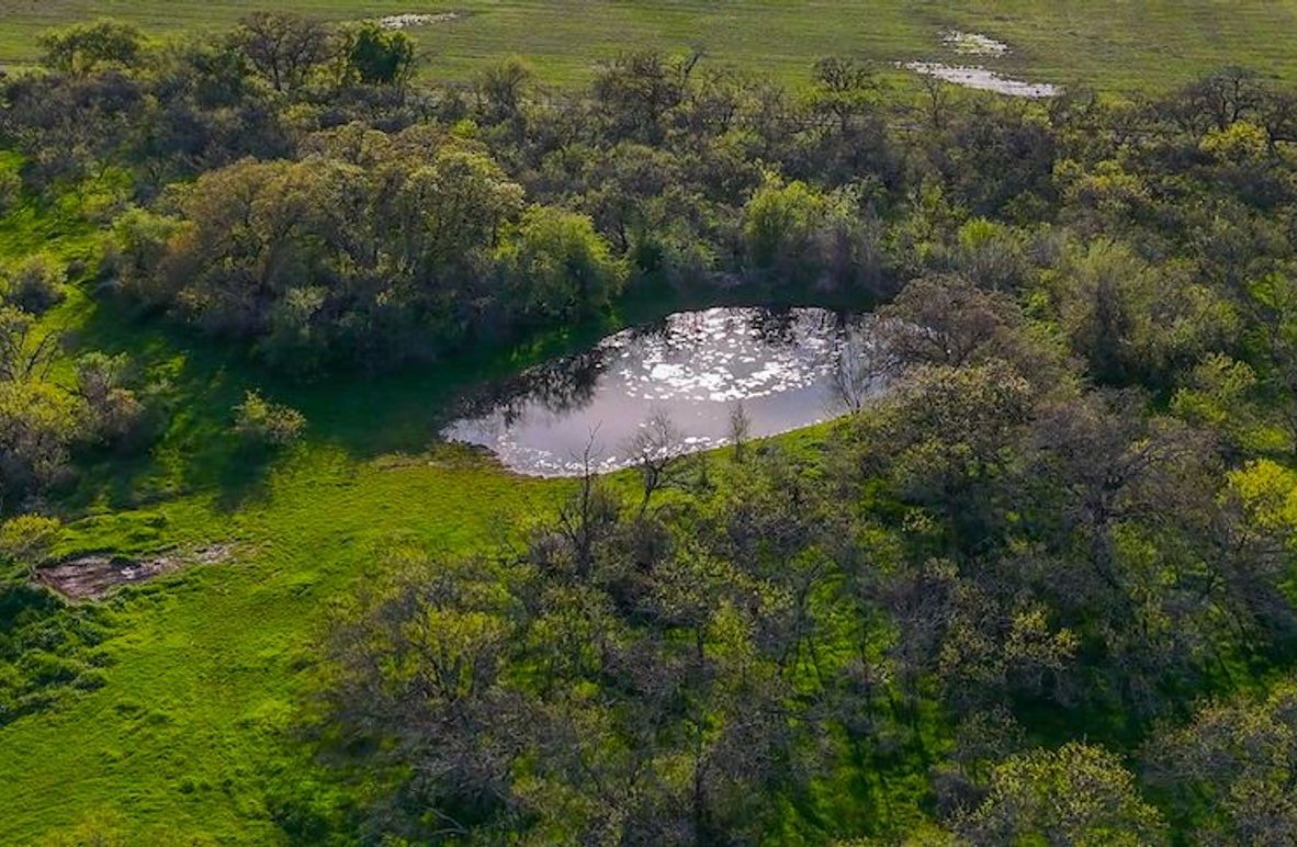 DJI_20240319180956_0025_D-5-2