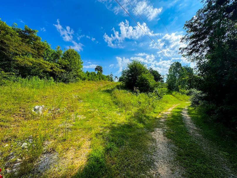 Lewis, WV 82.87 AC Barger-118