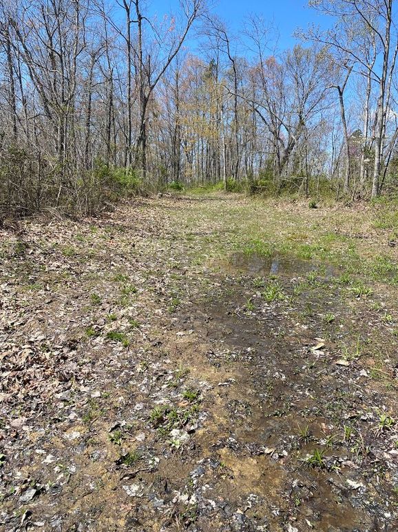 Carter Gordon 70 +_- 016