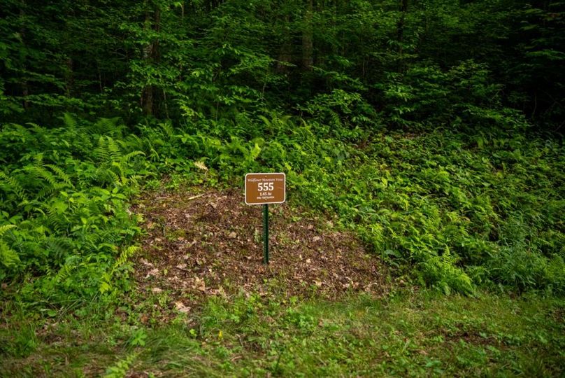 84 Featured_ProPhoto-62