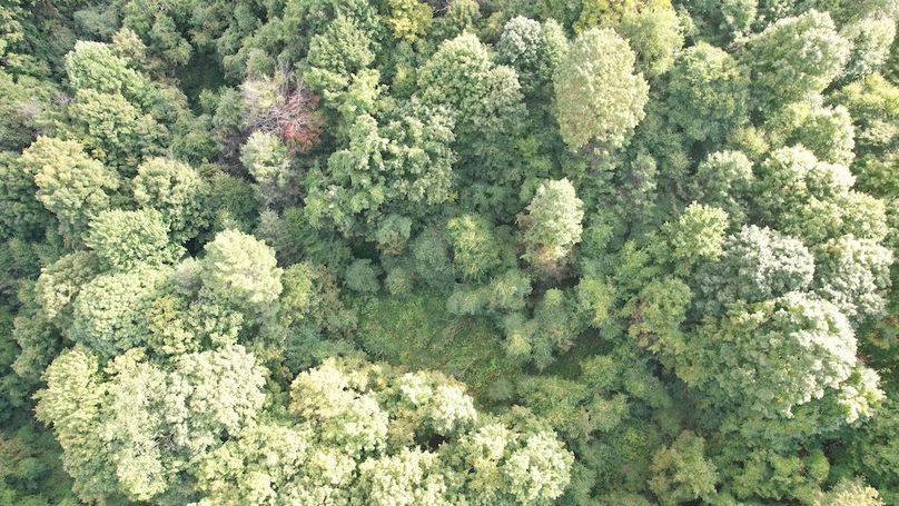 dji_fly_20240909_165606_635_1725915500051_photo