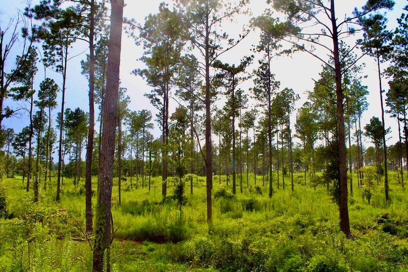 5453E577-1283-4324-9E58-8AF59B9F0A6F_1_105_c