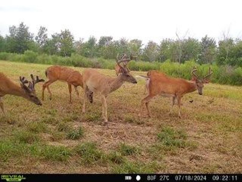 868032068105612-90-3-07182024092210-W1015247 copy