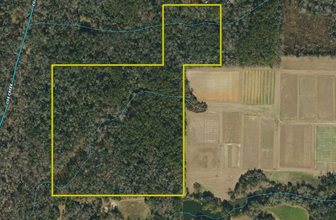 Aerial  #1 - Gadsden, FL - Betsey