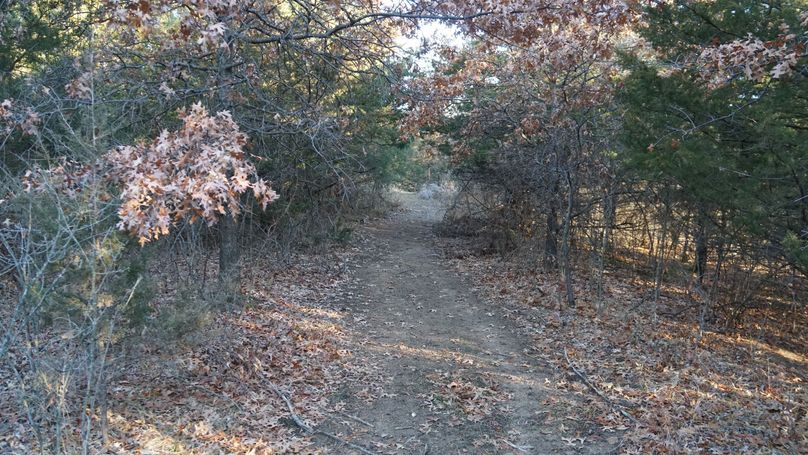 DSC02598