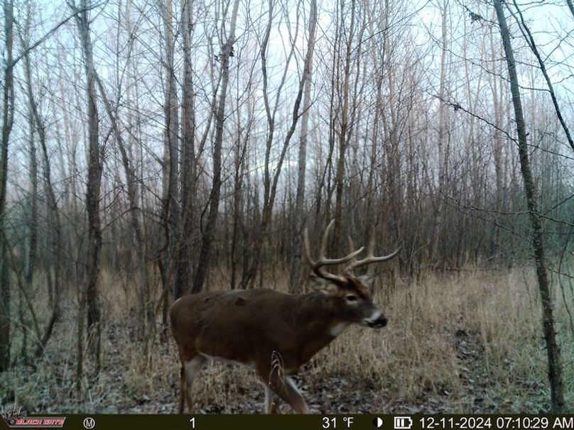 thumb-804dde6da6361bd46b676f09aae049fa3e56aeed