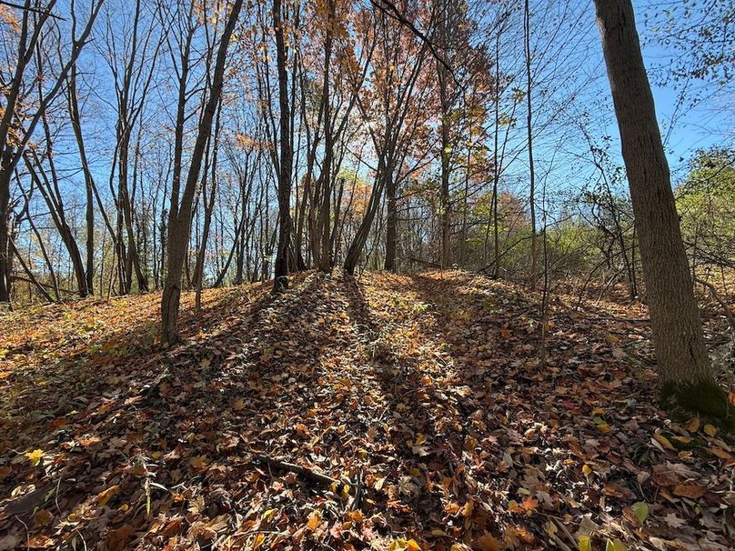 Wayne_18.11_Koehler Photo 6