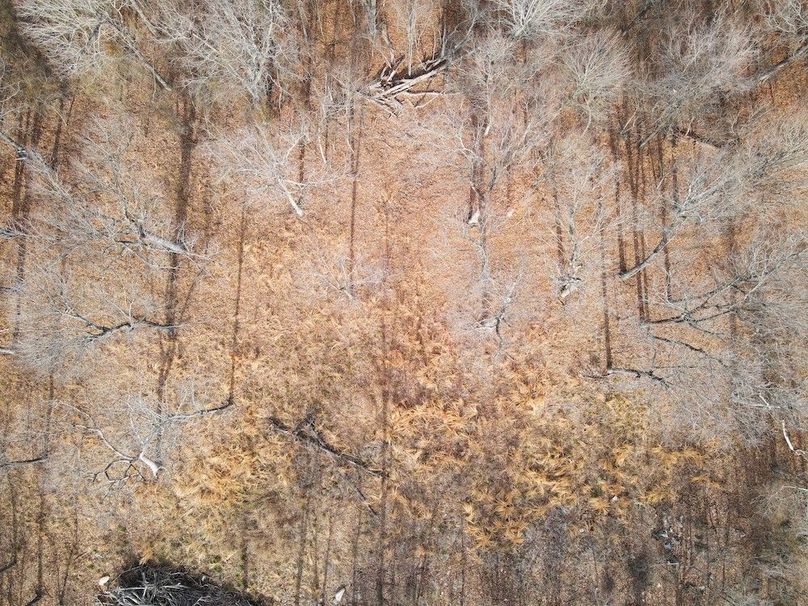 DJI_0652