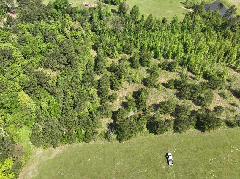 dji_fly_20260415_114316_415_1776345002110_photo