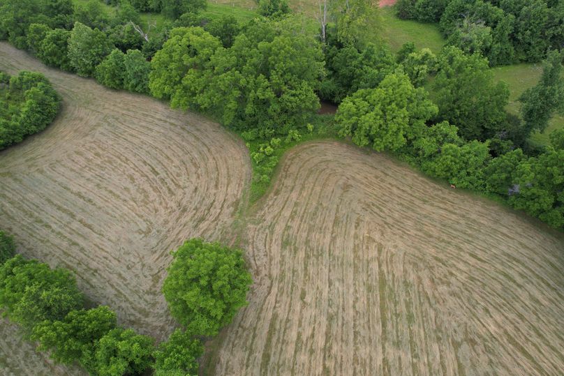 DJI_0516