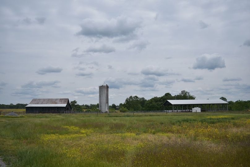 DSC_2586