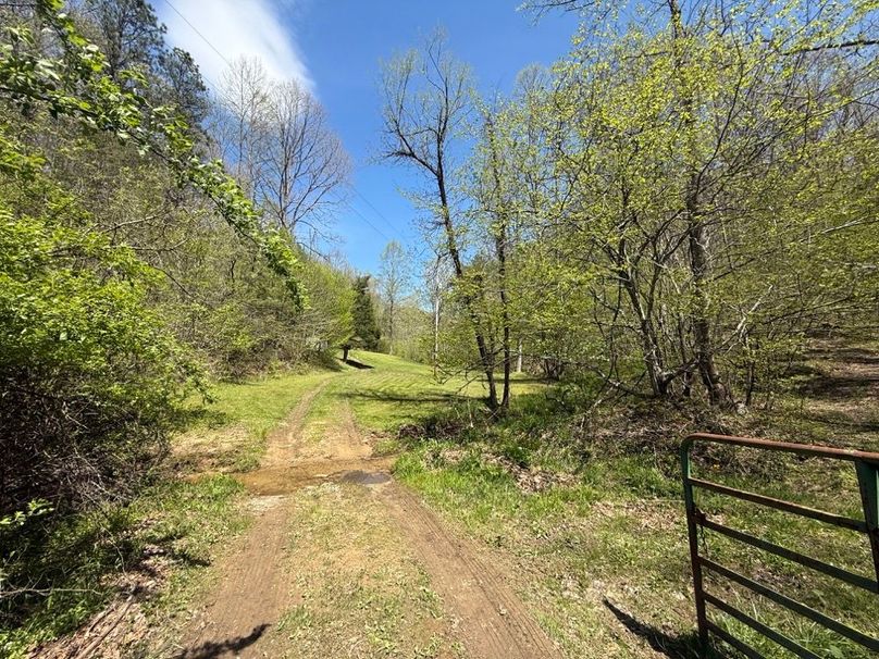 030 the final entrance into the cabin as you cross the creek