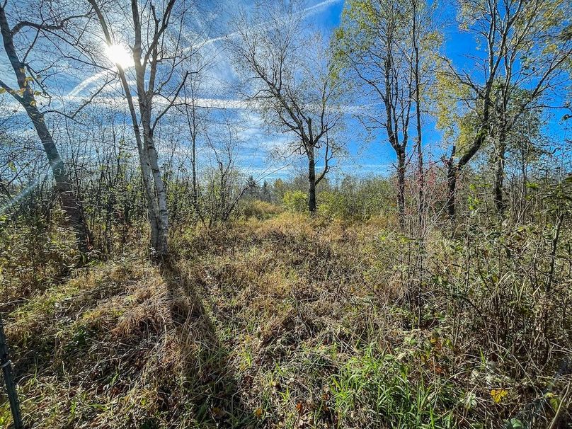 Clark 24.75 Winkel -27