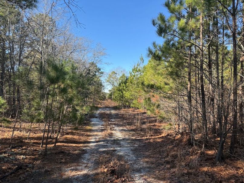 18 - long view of trail