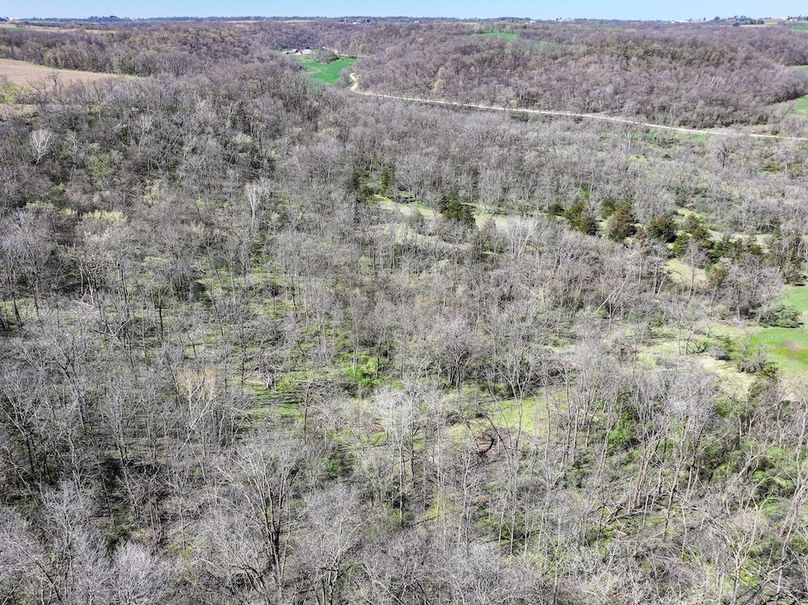 Strawberry Point- WTP-15