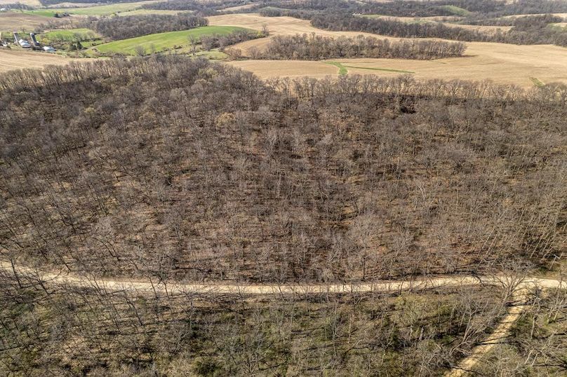 Jo Daviess IL 23.5_8