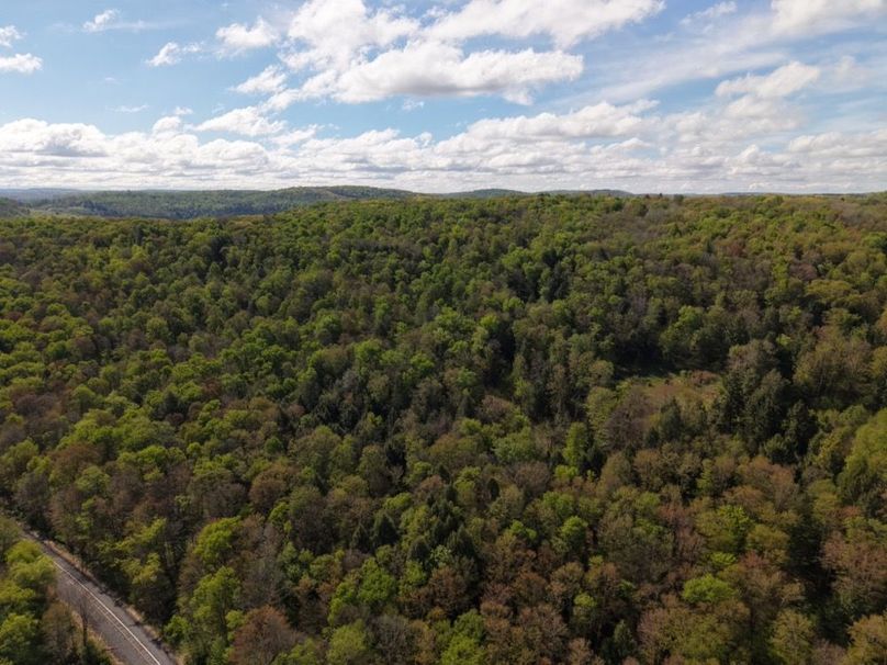 dji_fly_20260515_085218_0040_1778855418702_photo