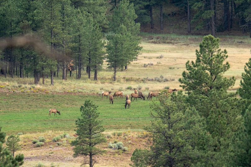 Cibola NM 13,053-6841