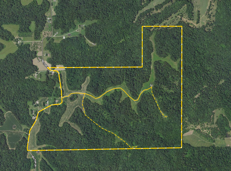 Screen Shot 2024-03-21 at 7.55.12 PM