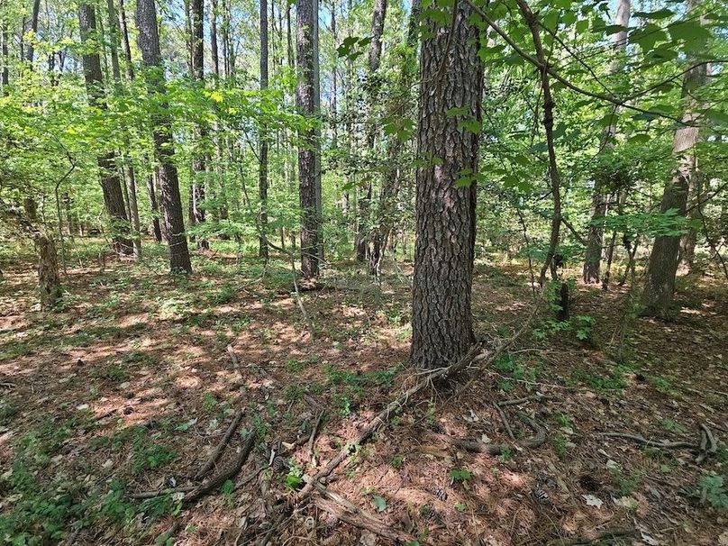 2.72ac_St Marys Rd_QAnnes_17