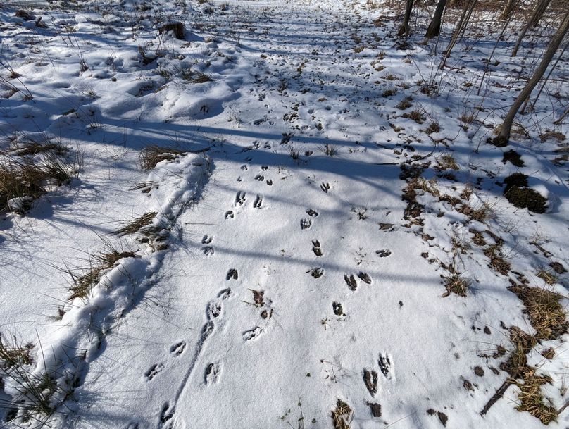 PXL_20230202_164716502