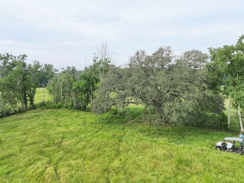 dji_fly_20250730_083722_0322_1753888797251_photo